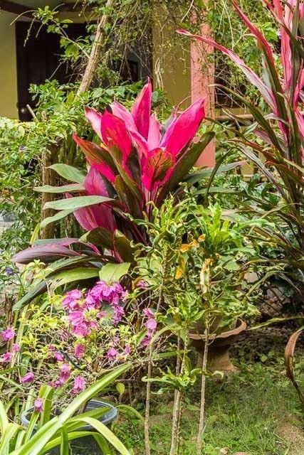 Ban Sabai Sabai Guest House Канчанабури Экстерьер фото